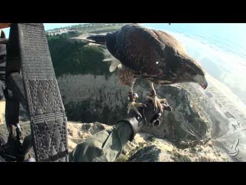 Vedi il video